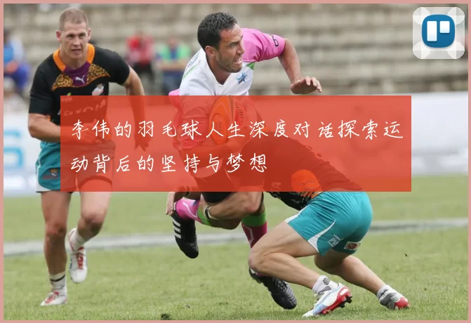 李伟的羽毛球人生深度对话探索运动背后的坚持与梦想