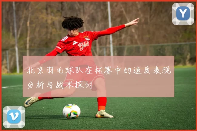 北京羽毛球队在杯赛中的速度表现分析与战术探讨
