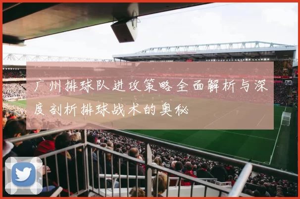 广州排球队进攻策略全面解析与深度剖析排球战术的奥秘