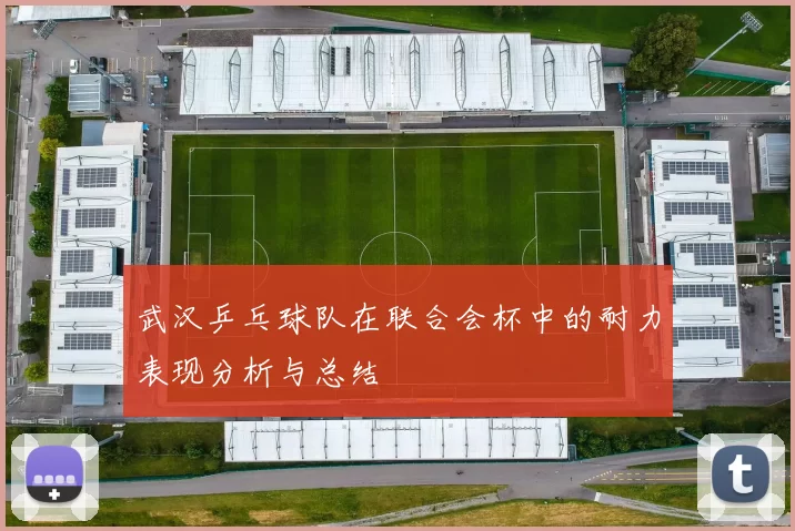 武汉乒乓球队在联合会杯中的耐力表现分析与总结