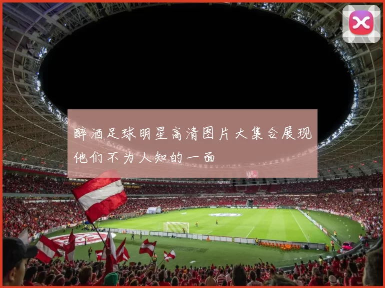 醉酒足球明星高清图片大集合展现他们不为人知的一面