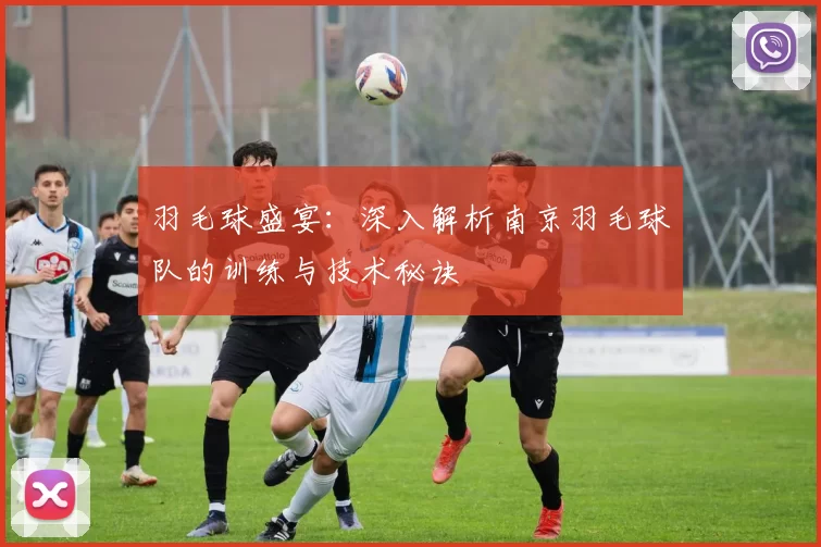 羽毛球盛宴：深入解析南京羽毛球队的训练与技术秘诀