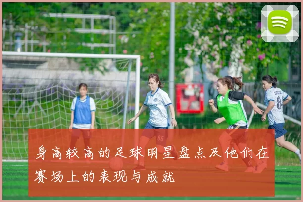 身高较高的足球明星盘点及他们在赛场上的表现与成就