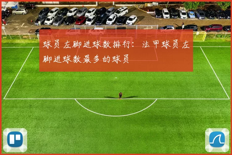 球员左脚进球数排行：法甲球员左脚进球数最多的球员