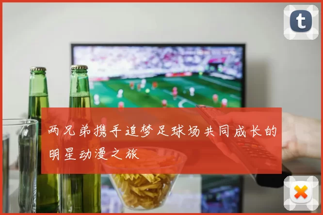 两兄弟携手追梦足球场共同成长的明星动漫之旅