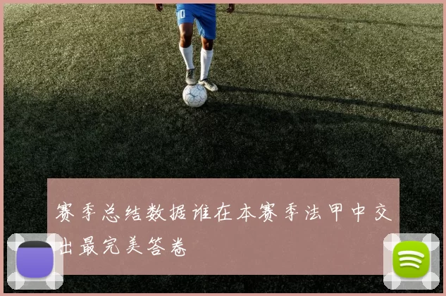 赛季总结数据谁在本赛季法甲中交出最完美答卷
