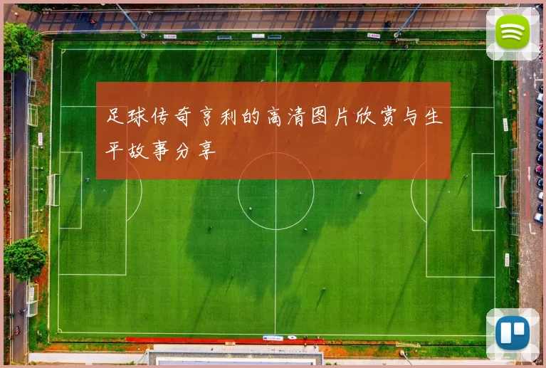 足球传奇亨利的高清图片欣赏与生平故事分享
