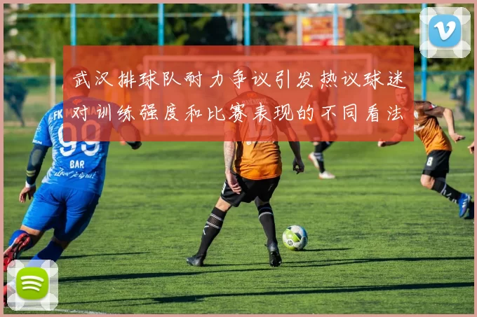 武汉排球队耐力争议引发热议球迷对训练强度和比赛表现的不同看法