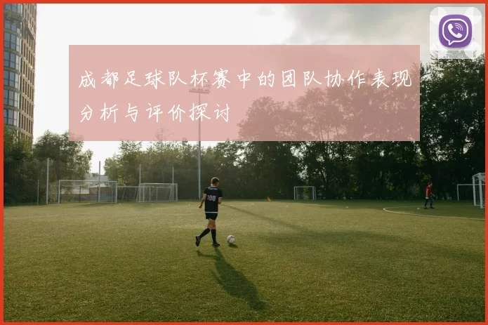 成都足球队杯赛中的团队协作表现分析与评价探讨