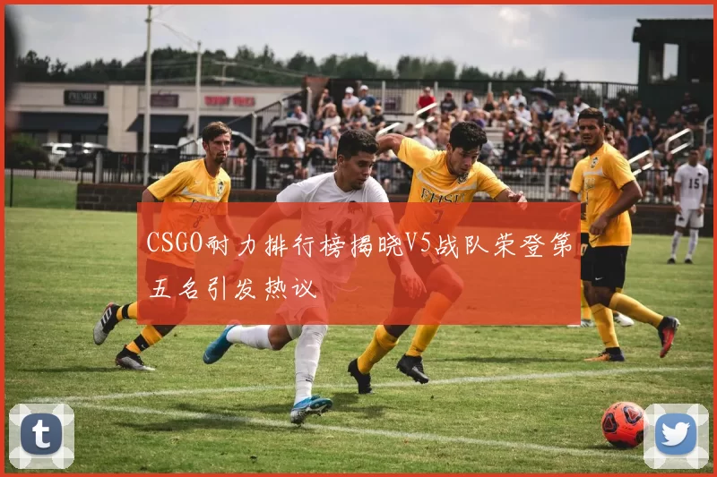 CSGO耐力排行榜揭晓V5战队荣登第五名引发热议