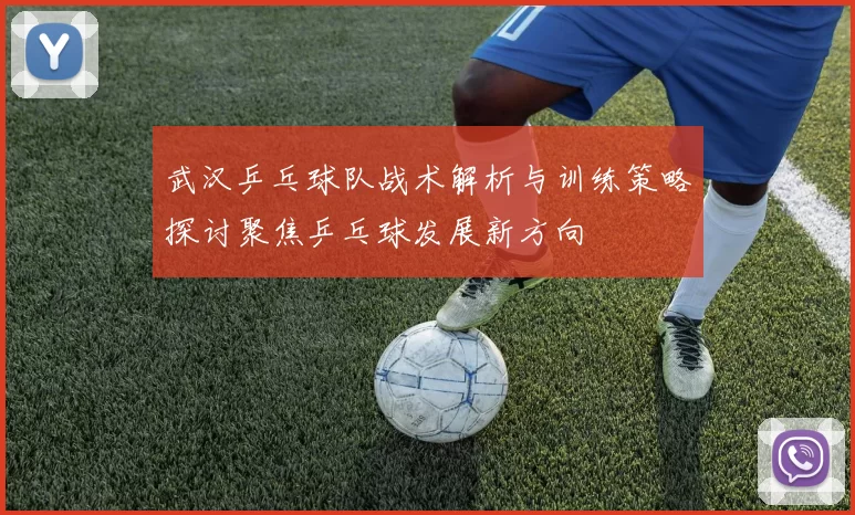武汉乒乓球队战术解析与训练策略探讨聚焦乒乓球发展新方向