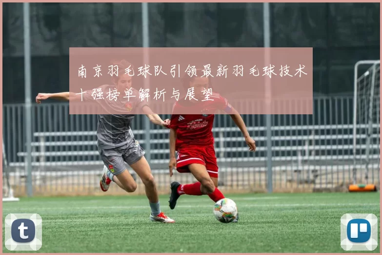 南京羽毛球队引领最新羽毛球技术十强榜单解析与展望