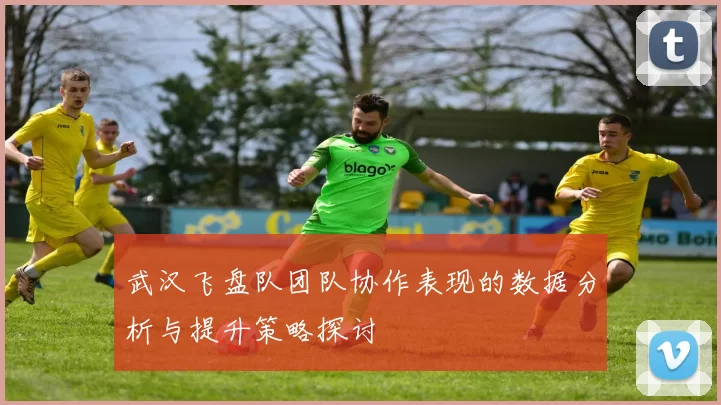 武汉飞盘队团队协作表现的数据分析与提升策略探讨