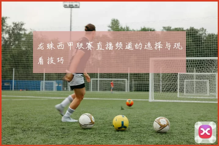 龙珠西甲联赛直播频道的选择与观看技巧
