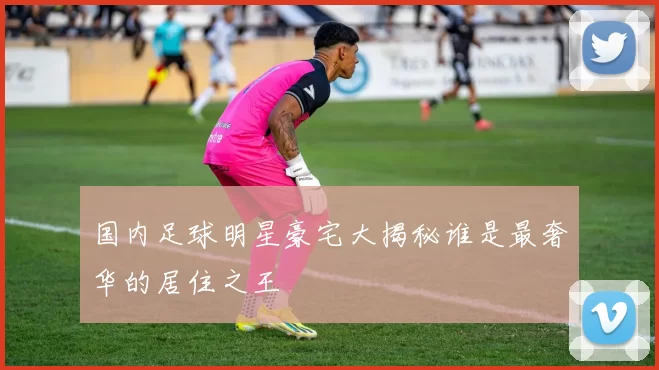 国内足球明星豪宅大揭秘谁是最奢华的居住之王