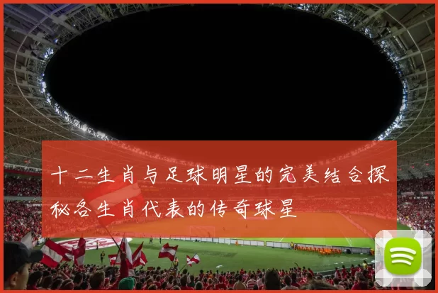 十二生肖与足球明星的完美结合探秘各生肖代表的传奇球星