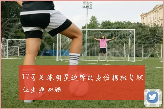 17号足球明星边锋的身份揭秘与职业生涯回顾