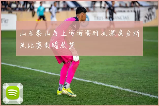 山东泰山与上海海港对决深度分析及比赛前瞻展望