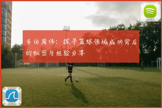 专访周伟：探寻篮球领域成功背后的秘密与经验分享
