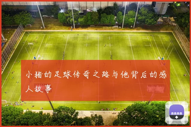 小猪的足球传奇之路与他背后的感人故事