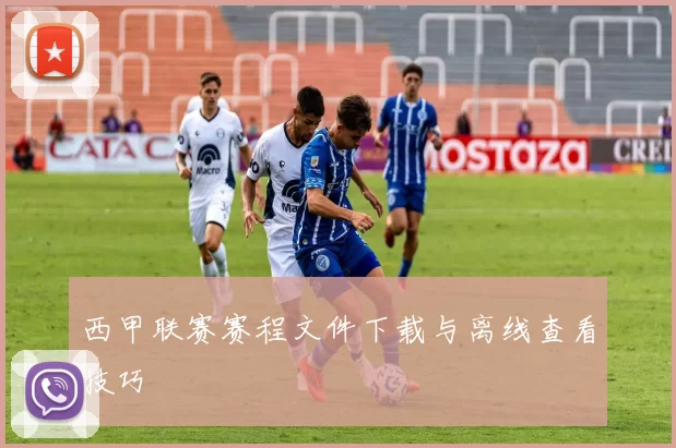 西甲联赛赛程文件下载与离线查看技巧